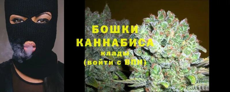 Бошки марихуана SATIVA & INDICA  Мценск 